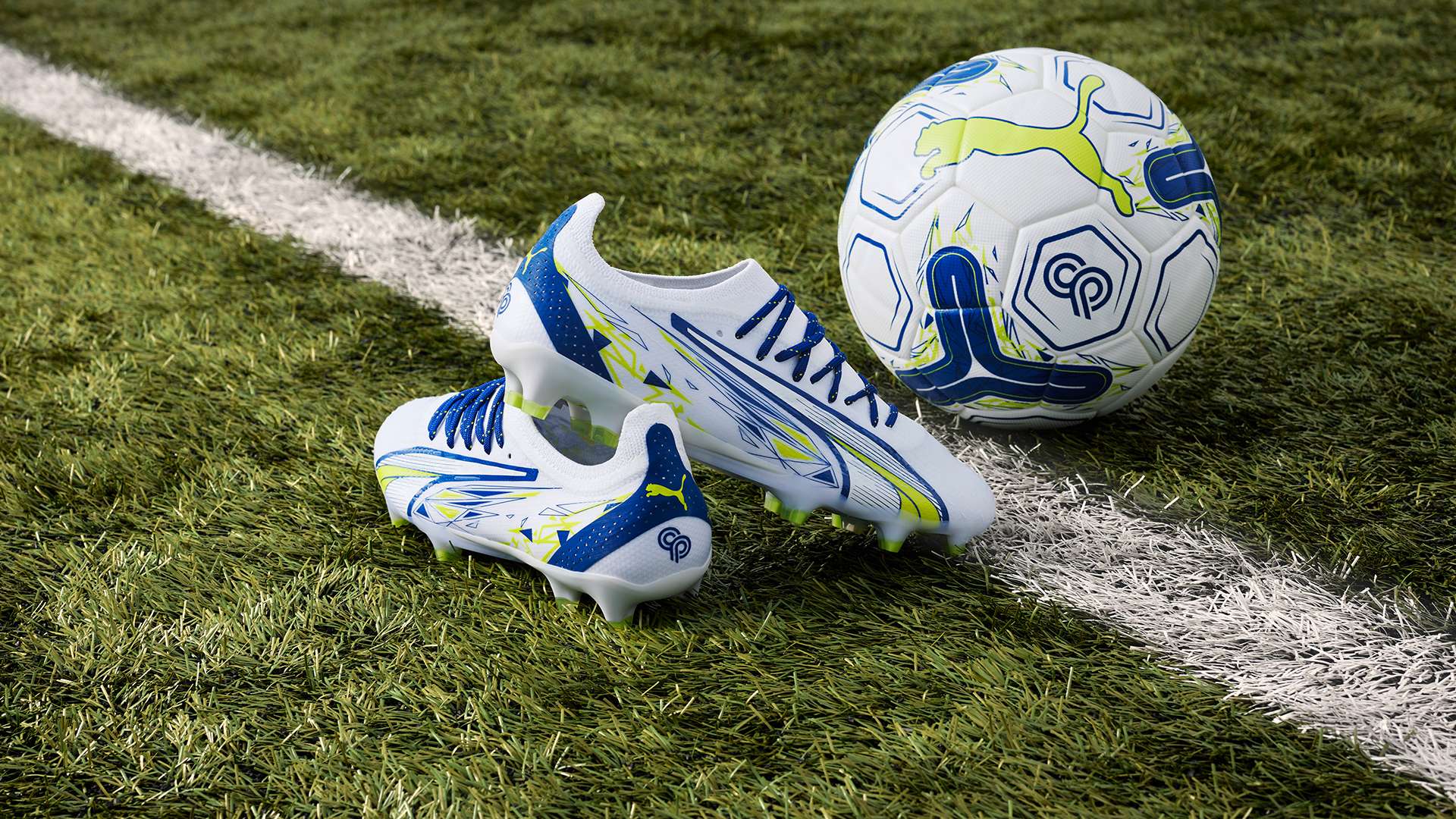 出色的身体 出色的身体